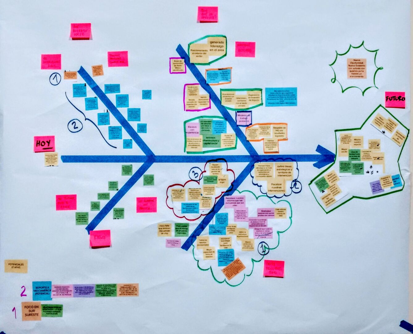 NGO Consulting